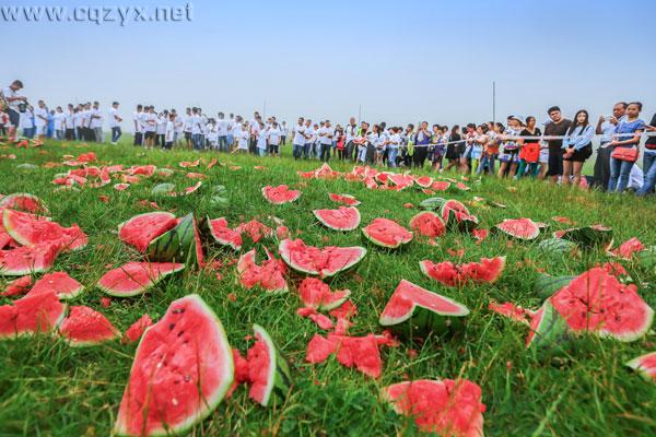 无疯狂不青春 千名准大学生仙女山砸西瓜减压