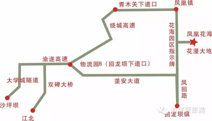 沙坪坝凤凰花海线路图