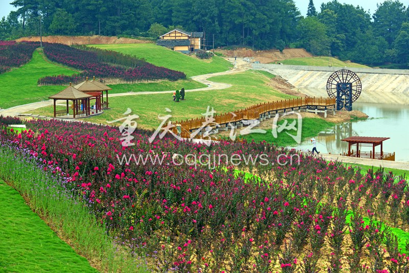 横山凤凰谷8月13日开园 避暑赏花新去处