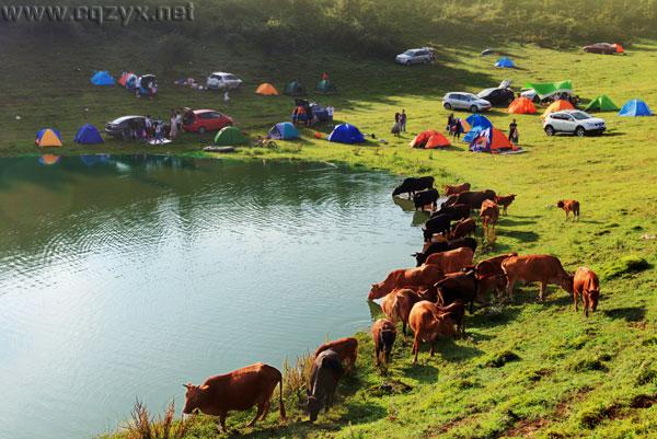 仙女山清凉星空之旅 跟高温say goodbye!.jpg