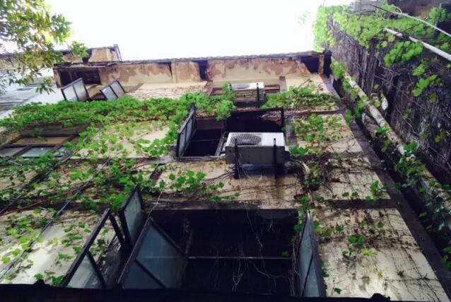 磁器口葵子咖啡屋