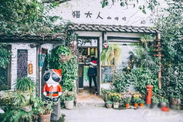 磁器口猫大人咖啡馆