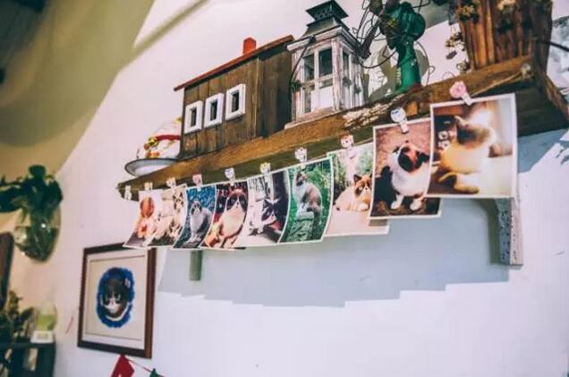 磁器口猫大人咖啡馆