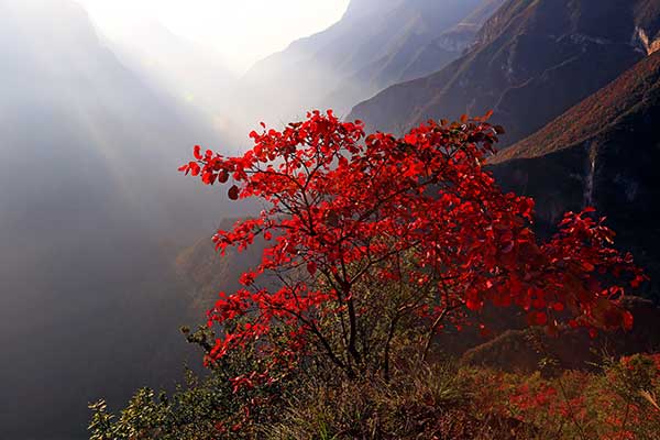 巫溪兰英大峡谷红叶