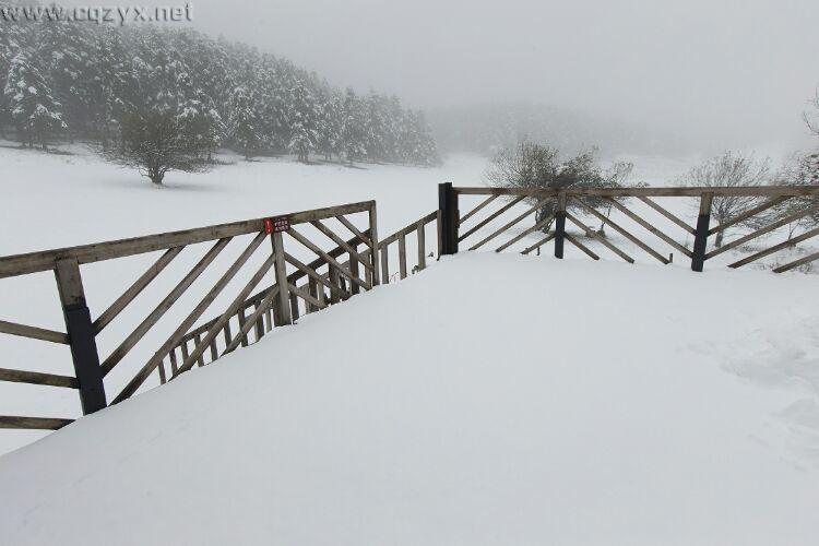 武隆仙女山再降大雪 积雪期即将到来