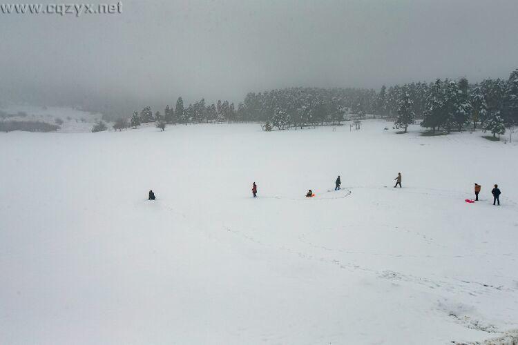 武隆仙女山再降大雪 积雪期即将到来