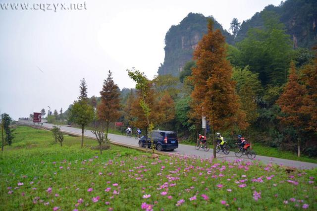 5.jpg 2016中国自行车联赛总决赛 总冠军将在古剑山决出