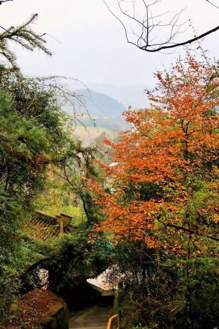 null-7d058405175086b7.jpg null-7d058405175086b7.jpg