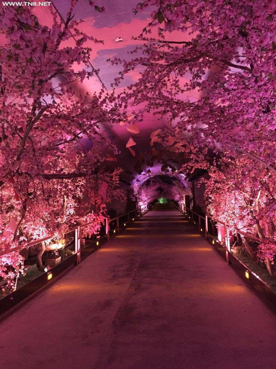 359b033b5bb5c9ea696fe419dc39b6003bf3b3a8.jpg 359b033b5bb5c9ea696fe419dc39b6003bf3b3a8.jpg