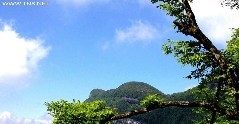 21a4462309f79052b25a7e280bf3d7ca7bcbd55a(1).jpg 21a4462309f79052b25a7e280bf3d7ca7bcbd55a(1).jpg