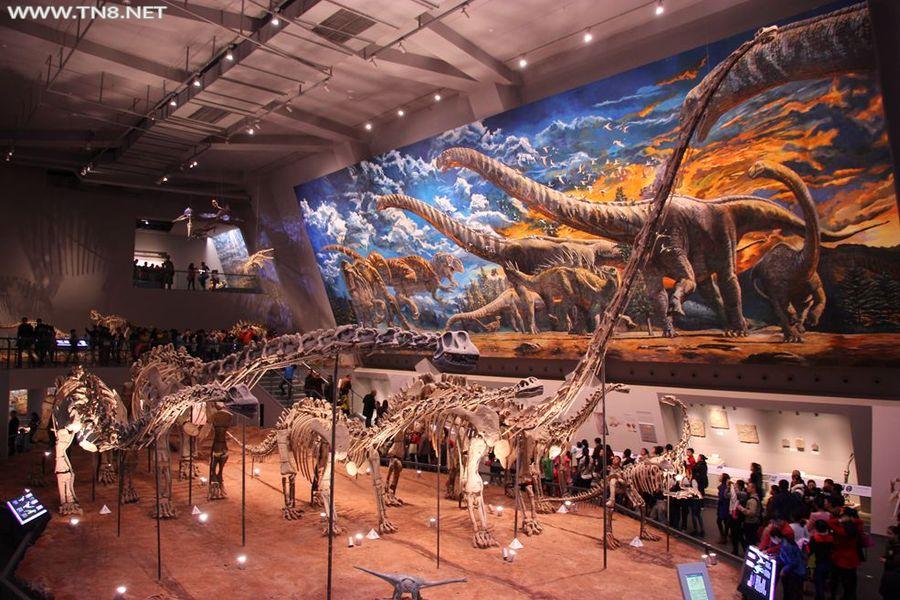 15960869_1448956064824_mthumb.jpg 15960869_1448956064824_mthumb.jpg