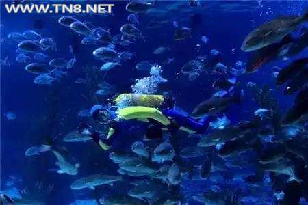 00_10000&sec=1538041049&di=a0021d0369a04e63b88fd0.jpg 00_10000&sec=1538041049&di=a0021d0369a04e63b88fd0.jpg