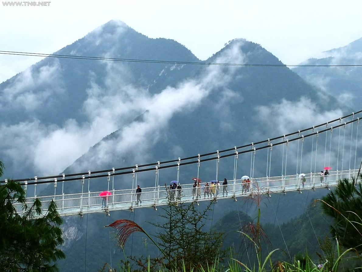 IMG_20181002_105640.jpg IMG_20181002_105640.jpg