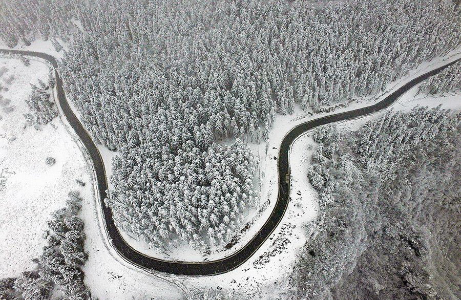 仙女山雪景 仙女山雪景