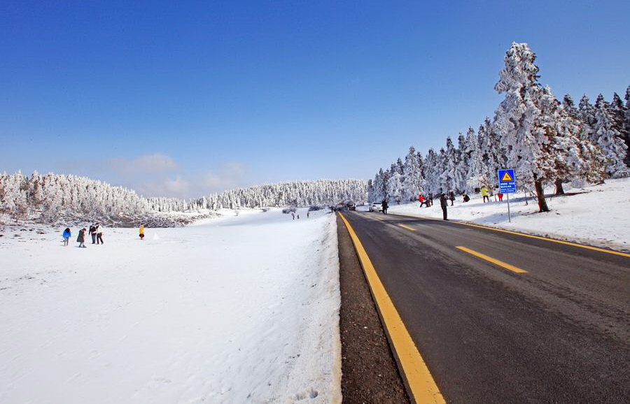 仙女山雪景 仙女山雪景