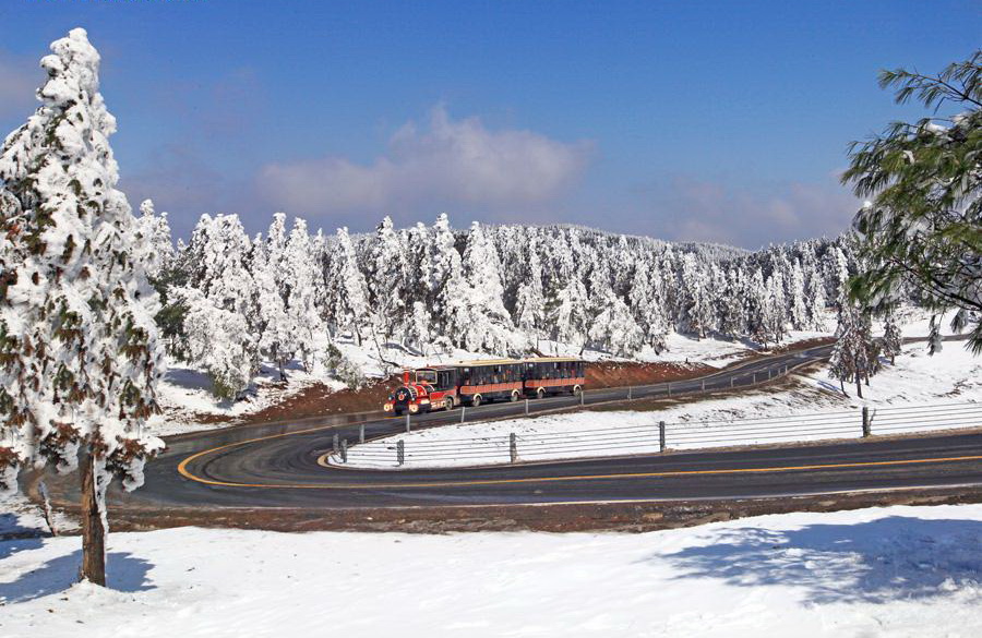 仙女山雪景 仙女山雪景
