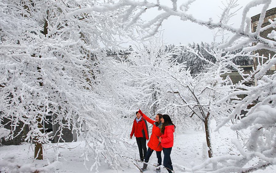 仙女山雪景 仙女山雪景