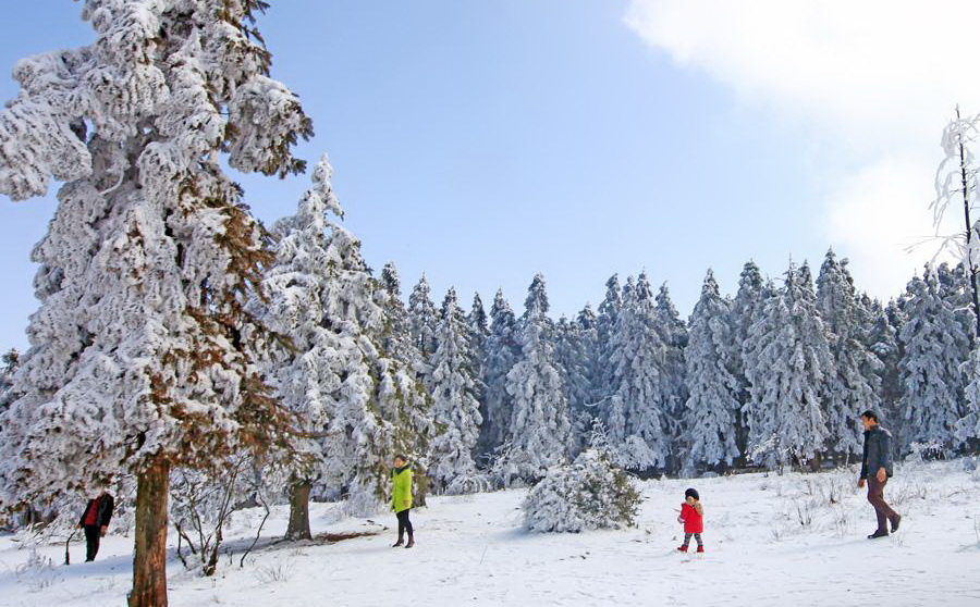 仙女山雪景 仙女山雪景
