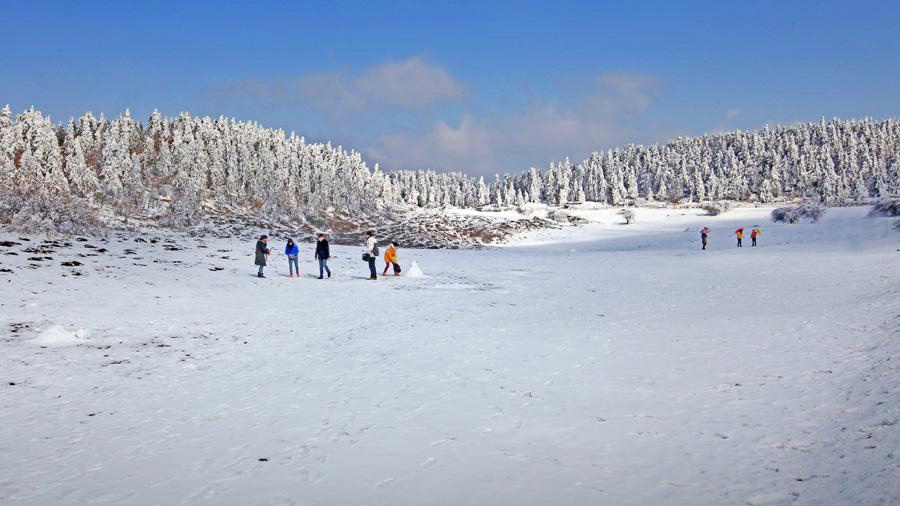 仙女山雪景 仙女山雪景