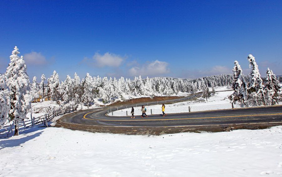 仙女山雪景 仙女山雪景