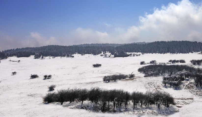 仙女山雪景 仙女山雪景