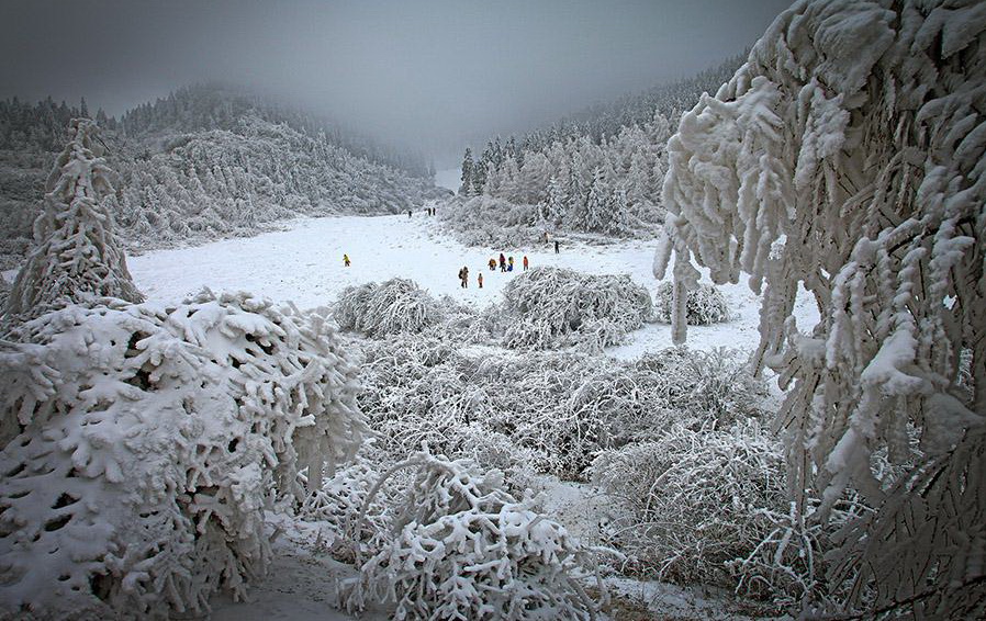 仙女山雪景 仙女山雪景