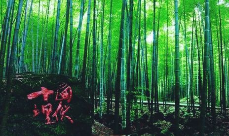 EB2ABD67E78168745489984016B161B1.jpg EB2ABD67E78168745489984016B161B1.jpg