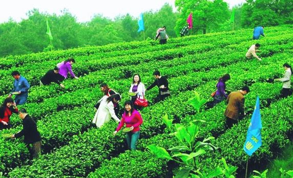 3334E0CD13C259722A8B021DDE6CE422.jpg 3334E0CD13C259722A8B021DDE6CE422.jpg