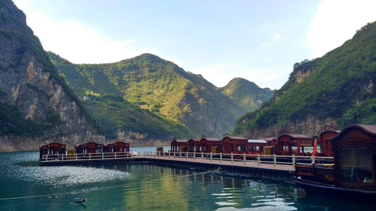 timg (3).jpg timg (3).jpg