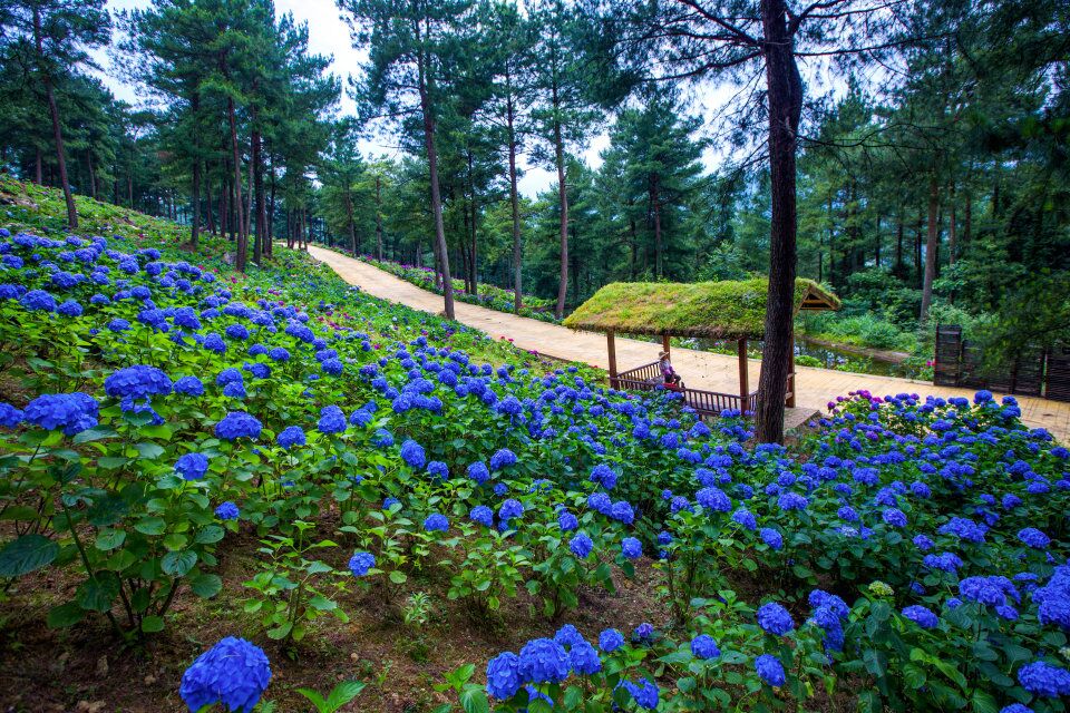 TIM图片20180625205423.jpg TIM图片20180625205423.jpg