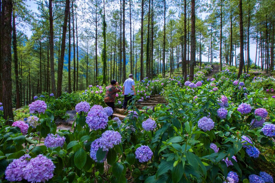 TIM图片20180625205350.jpg TIM图片20180625205350.jpg