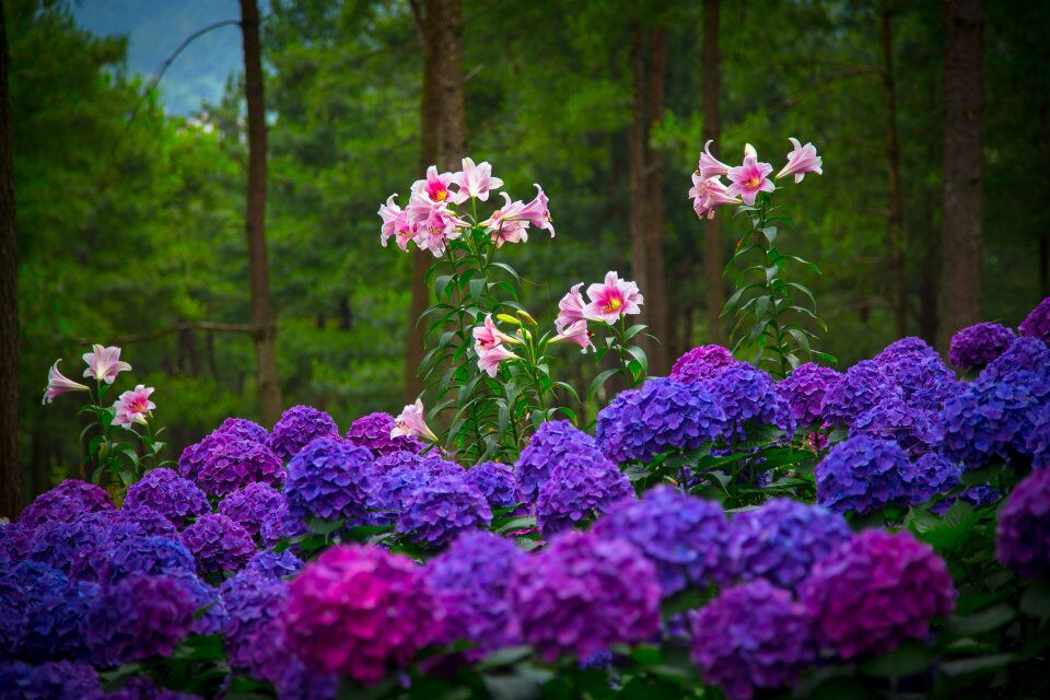 TIM图片20180625205522.jpg TIM图片20180625205522.jpg