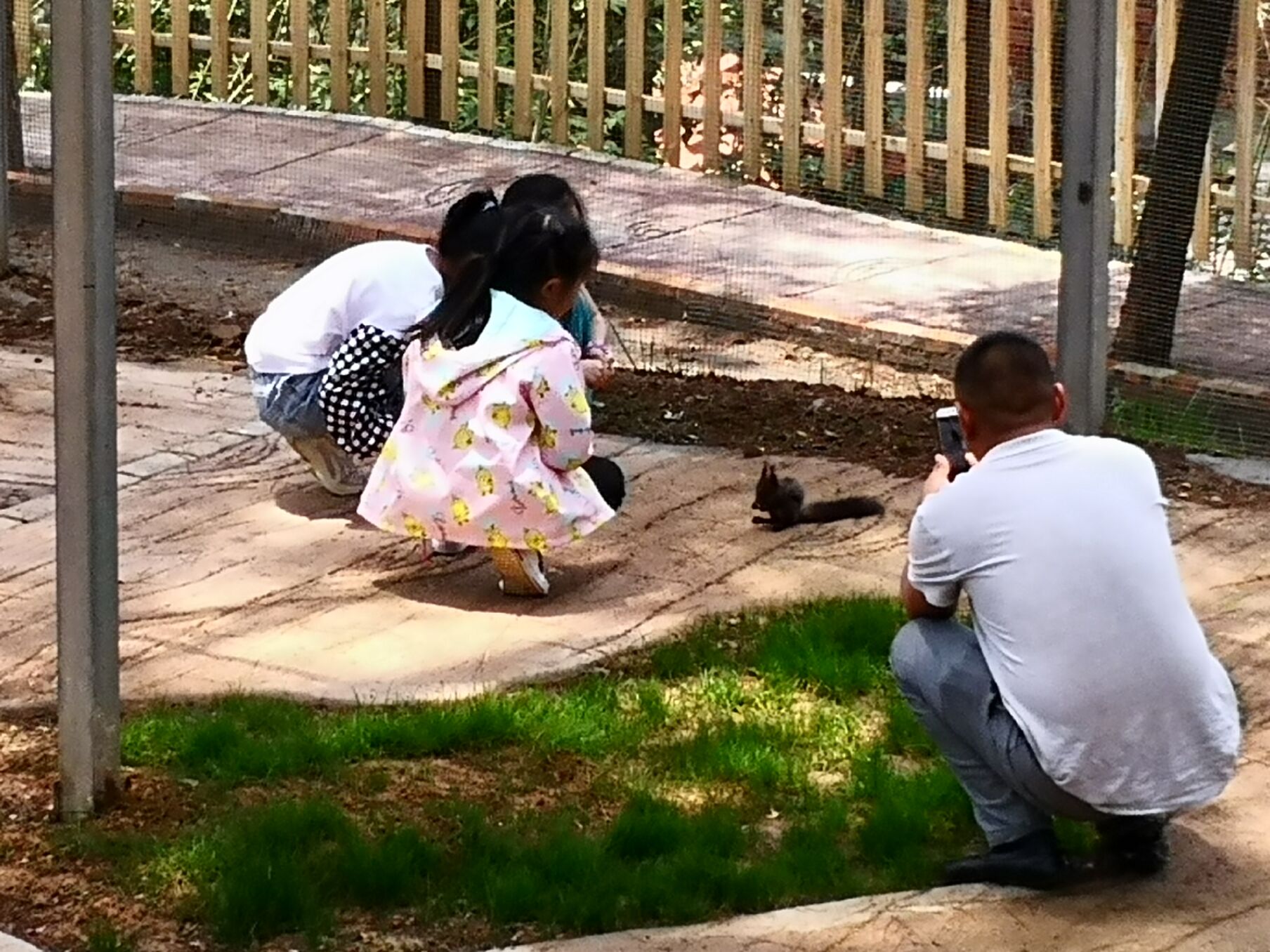 73VZ39J%XZ%[7PDFPYOA7AY.jpg 73VZ39J%XZ%[7PDFPYOA7AY.jpg