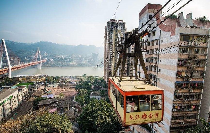 timg (6).jpg timg (6).jpg