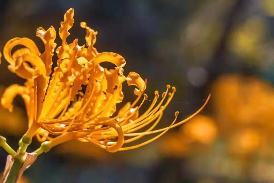 微信图片_20191017103138.jpg 微信图片_20191017103138.jpg