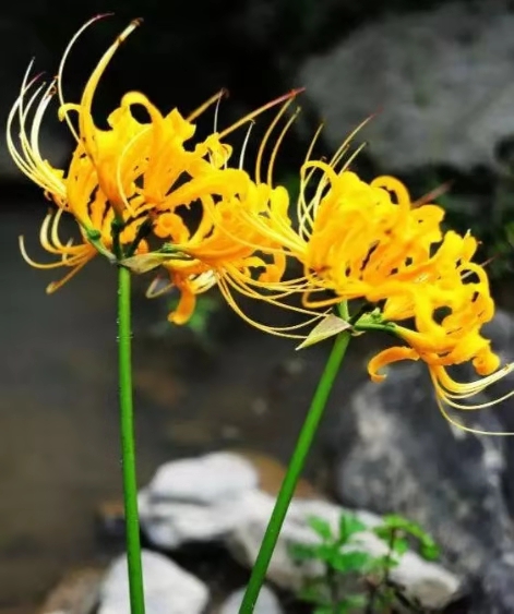 微信图片_20191017103228.jpg 微信图片_20191017103228.jpg