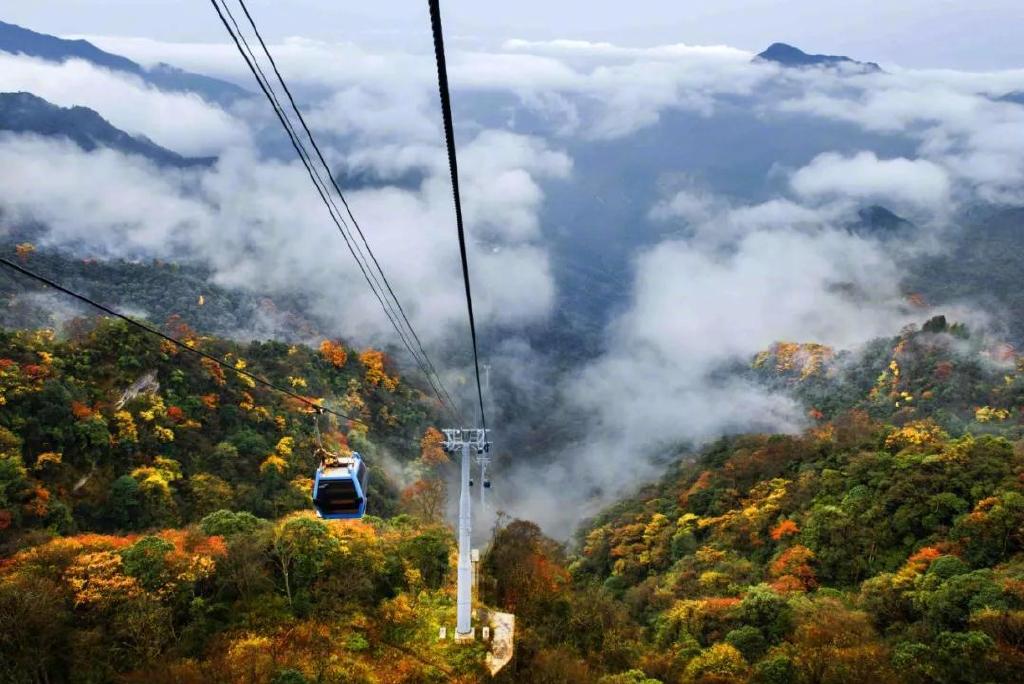 7ee4a769ly1g8yk4x0v2aj20u00k1tbn.jpg 7ee4a769ly1g8yk4x0v2aj20u00k1tbn.jpg