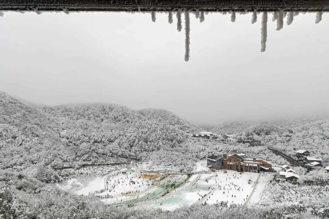 微信图片_20191126114428.jpg 微信图片_20191126114428.jpg