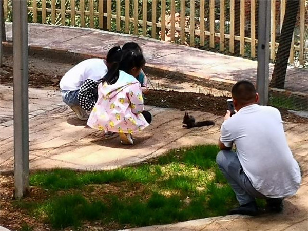 809047fc100c0bad0b69607379e60d06.jpg 809047fc100c0bad0b69607379e60d06.jpg