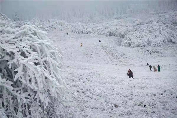 微信图片_20181210092658_副本_副本.jpg 微信图片_20181210092658_副本_副本.jpg