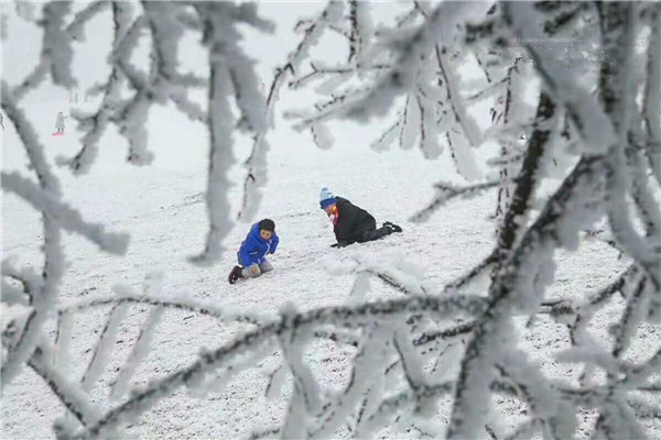 微信图片_20181210092714_副本_副本.jpg 微信图片_20181210092714_副本_副本.jpg