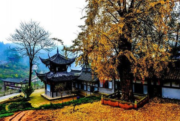 t01f83d92bee8db8c98_副本.jpg t01f83d92bee8db8c98_副本.jpg