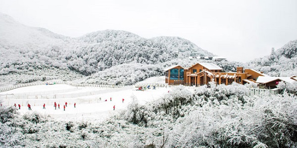 金佛山.jpg 金佛山.jpg