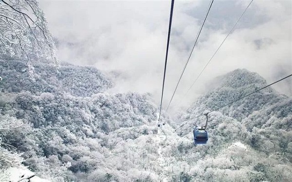 金佛山2.jpeg 金佛山2.jpeg