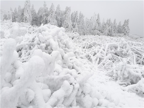 IMG_20181212_145936_副本.jpg IMG_20181212_145936_副本.jpg