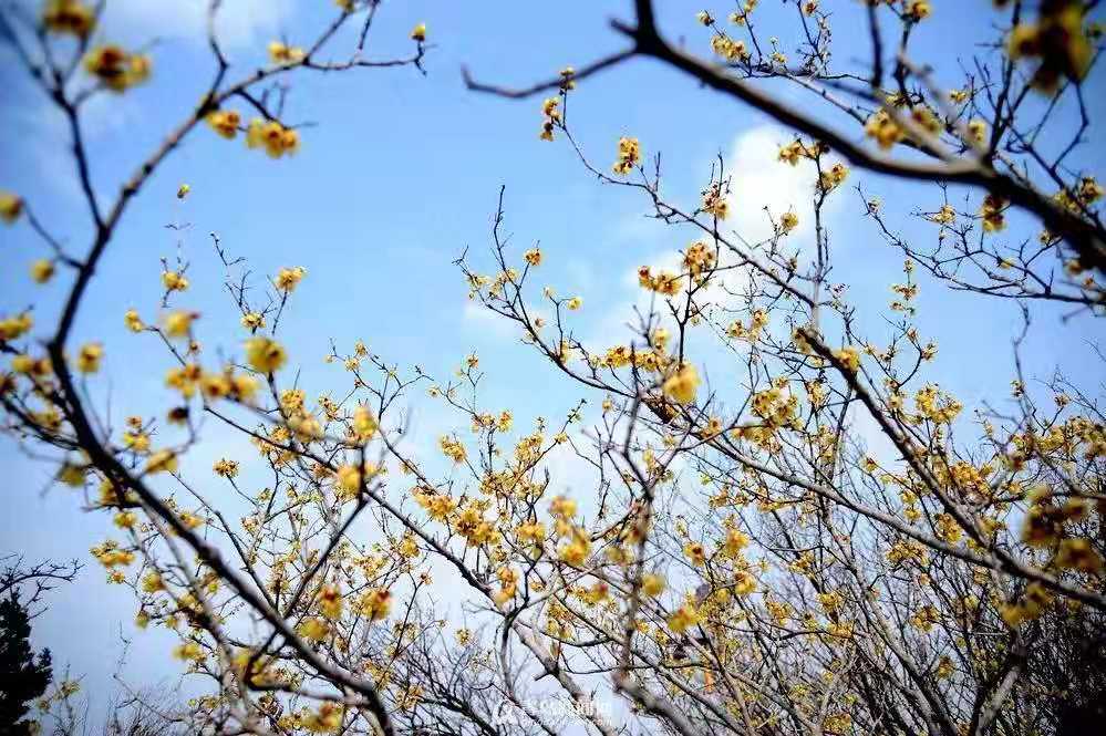 微信图片_20191226143754.jpg 微信图片_20191226143754.jpg