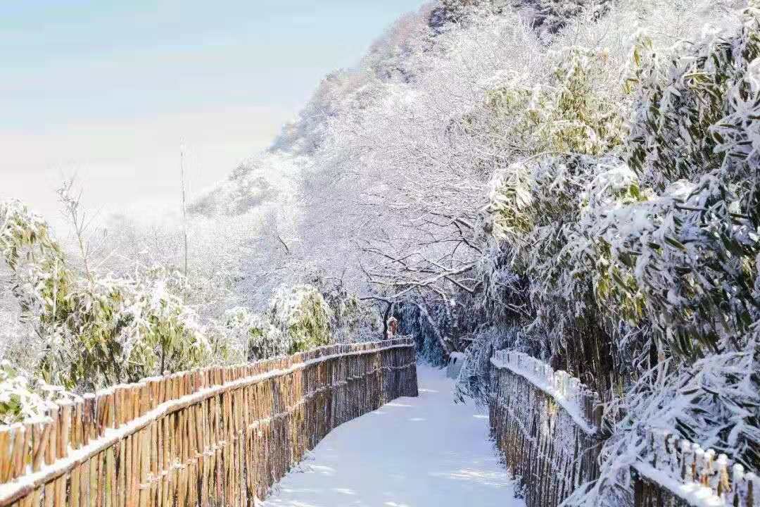 微信图片_20191126113121.jpg 微信图片_20191126113121.jpg