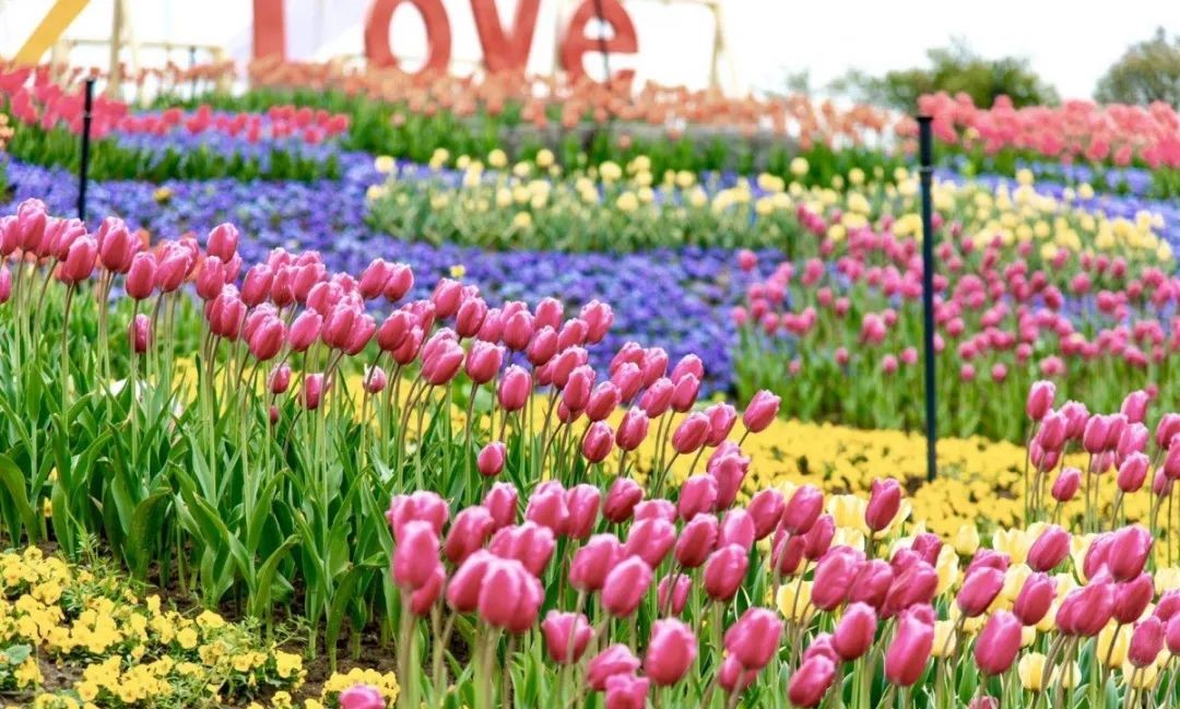 微信图片_20200317163315.jpg 微信图片_20200317163315.jpg