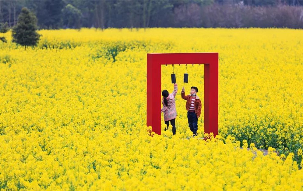 微信图片_20200317164130.jpg 微信图片_20200317164130.jpg