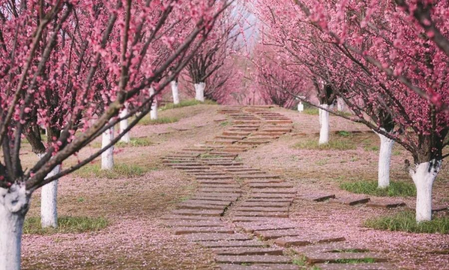 微信图片_20200317184031.jpg 微信图片_20200317184031.jpg